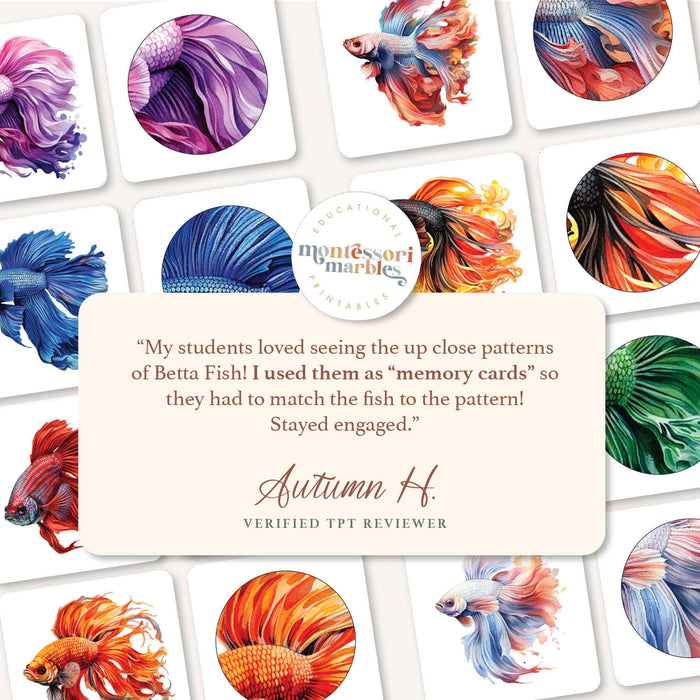 Betta Fish Pattern Matching