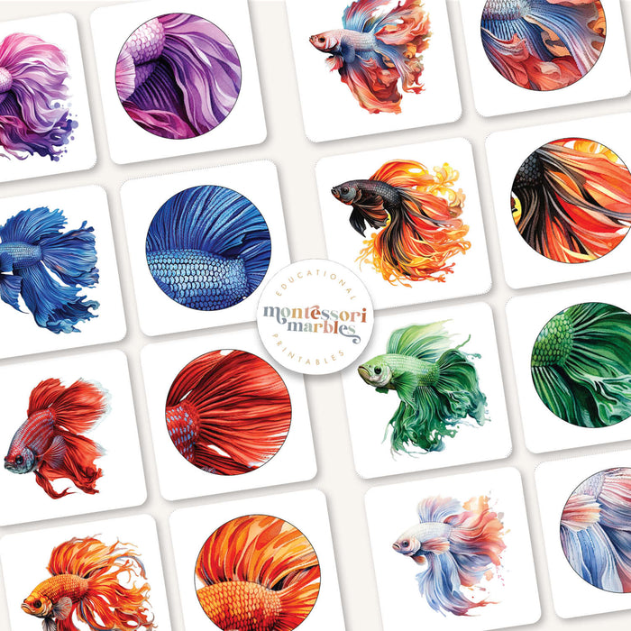 Betta Fish Pattern Matching