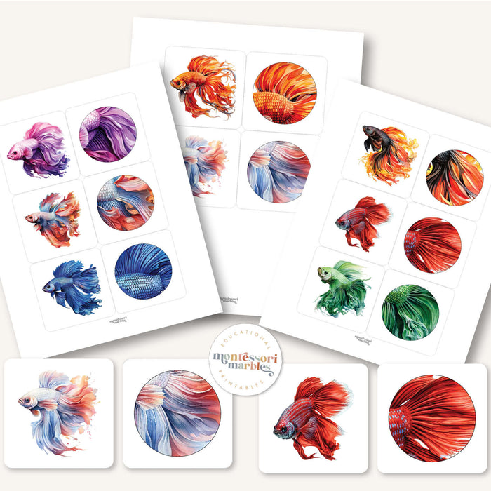 Betta Fish Pattern Matching