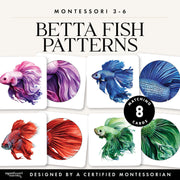 Betta fish pattern matching for aquatic animal study — ages 3-6