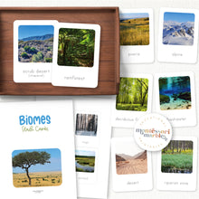 Load image into Gallery viewer, Biomes Flash Cards
