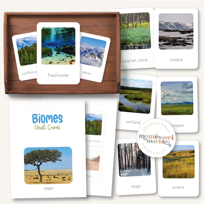 Biomes Flash Cards
