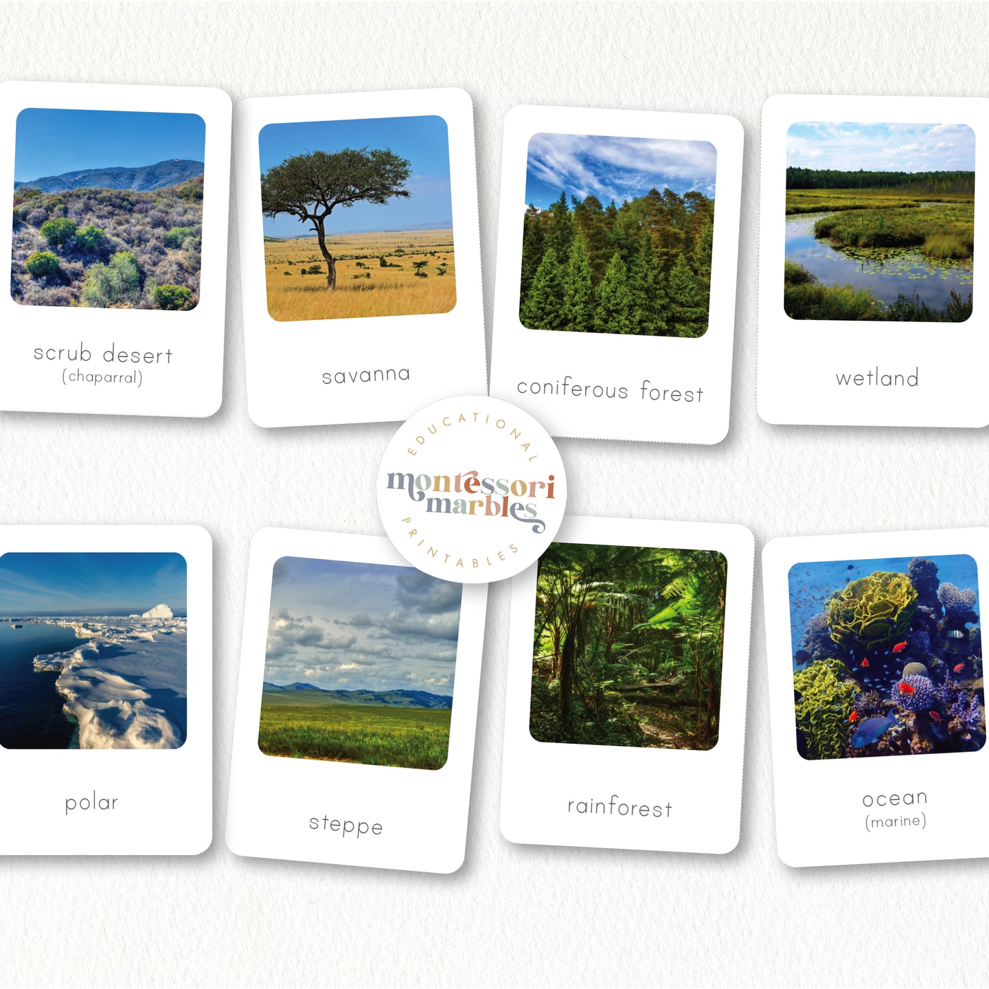 Biomes Flash Cards