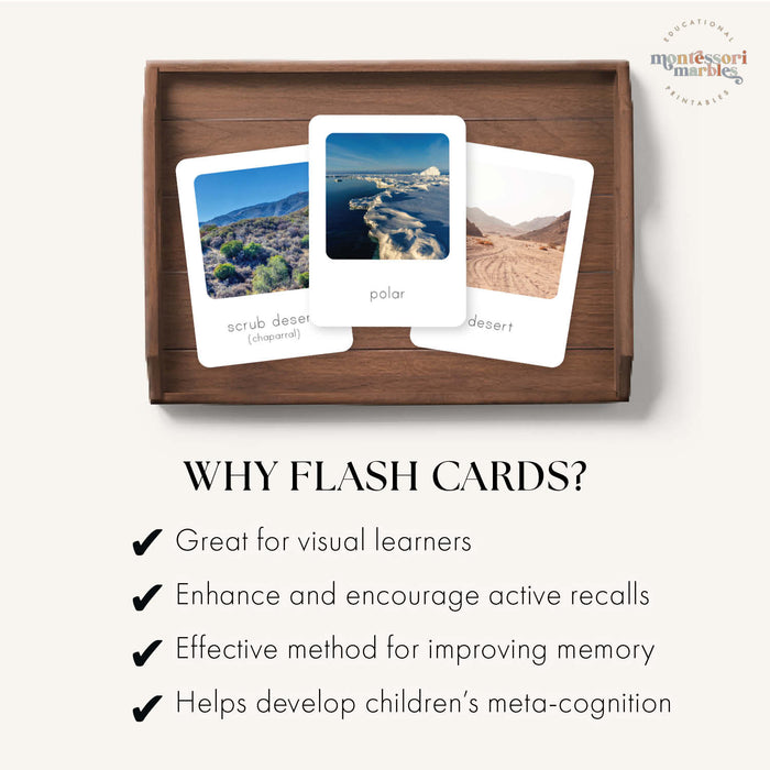 Biomes Flash Cards