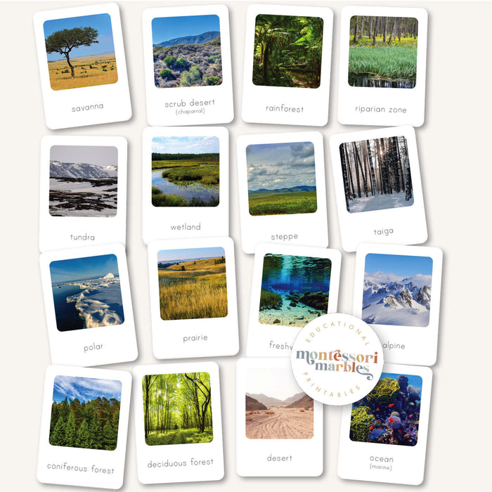 Biomes Flash Cards