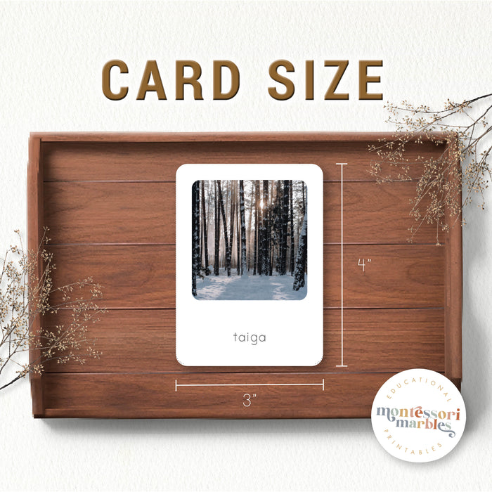 Biomes Flash Cards