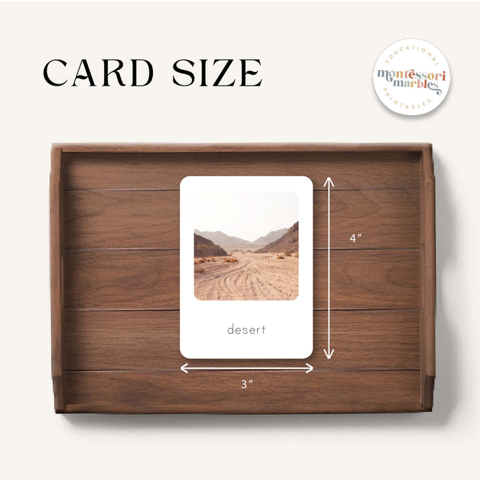 Biomes Flash Cards