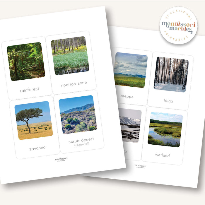 Biomes Flash Cards