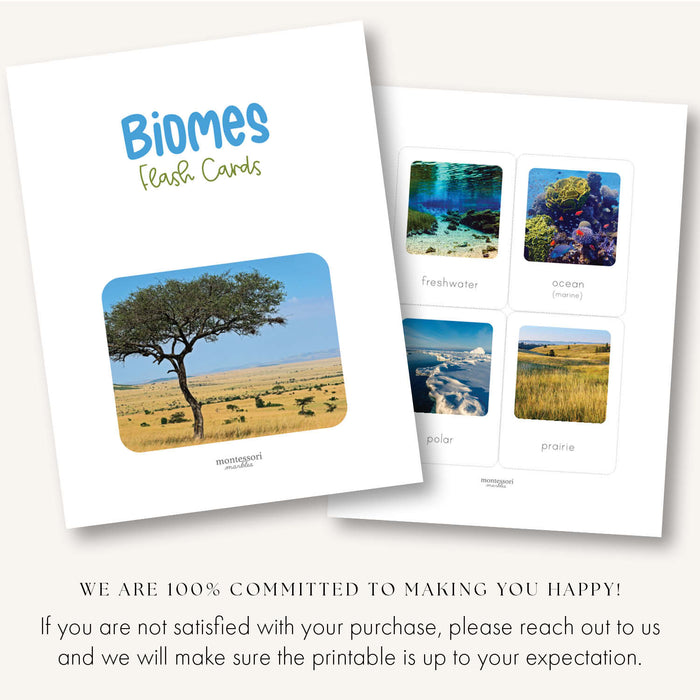 Biomes Flash Cards