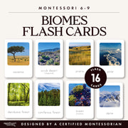 Biomes flash cards for geography study