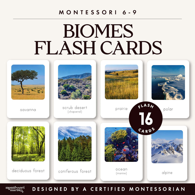 Biomes flash cards for geography study