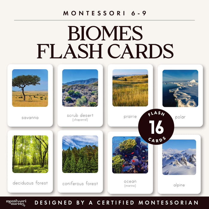 Biomes Flash Cards