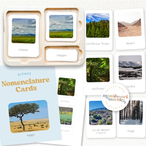 Biomes Nomenclature Cards