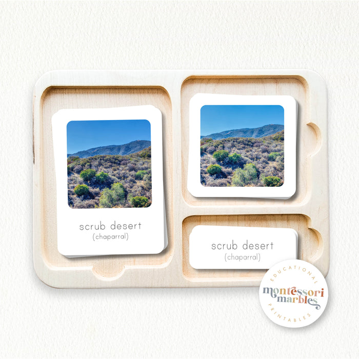 Biomes Nomenclature Cards