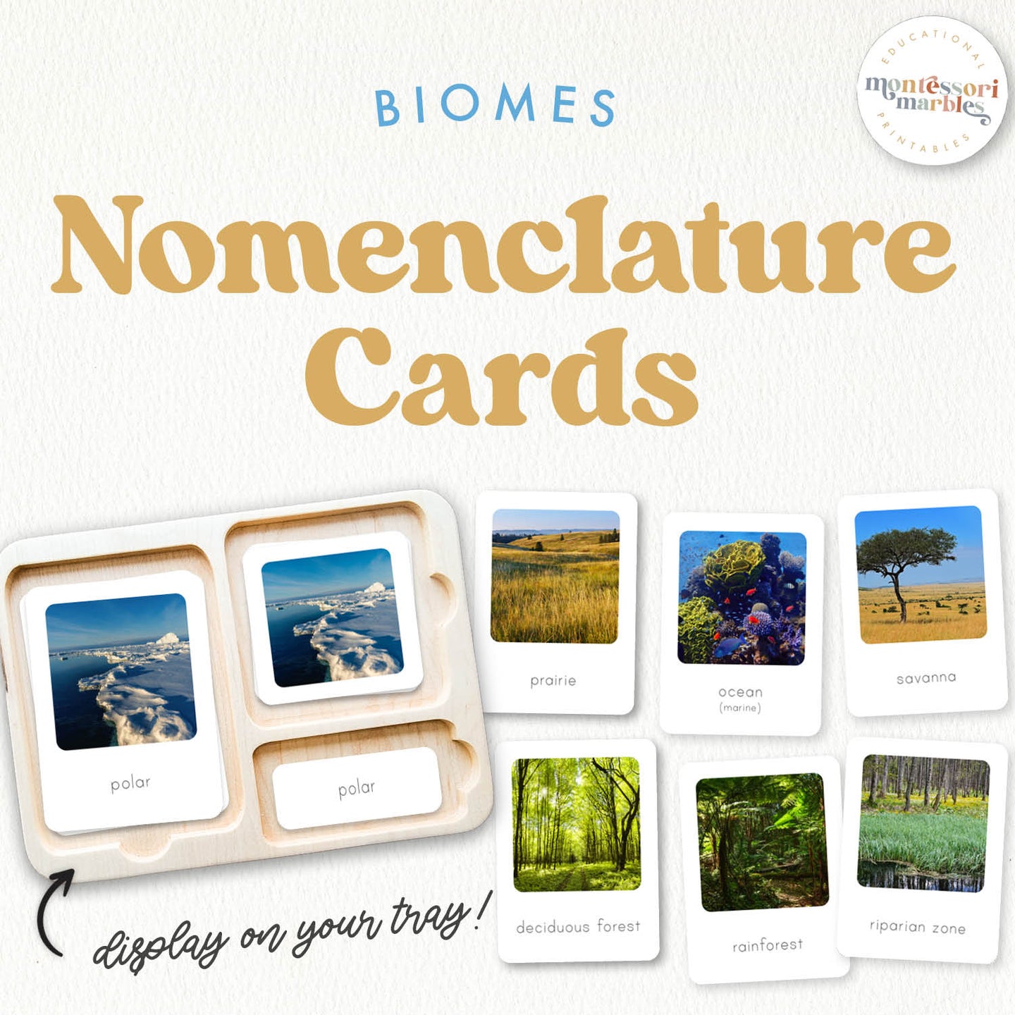 Biomes Nomenclature Cards