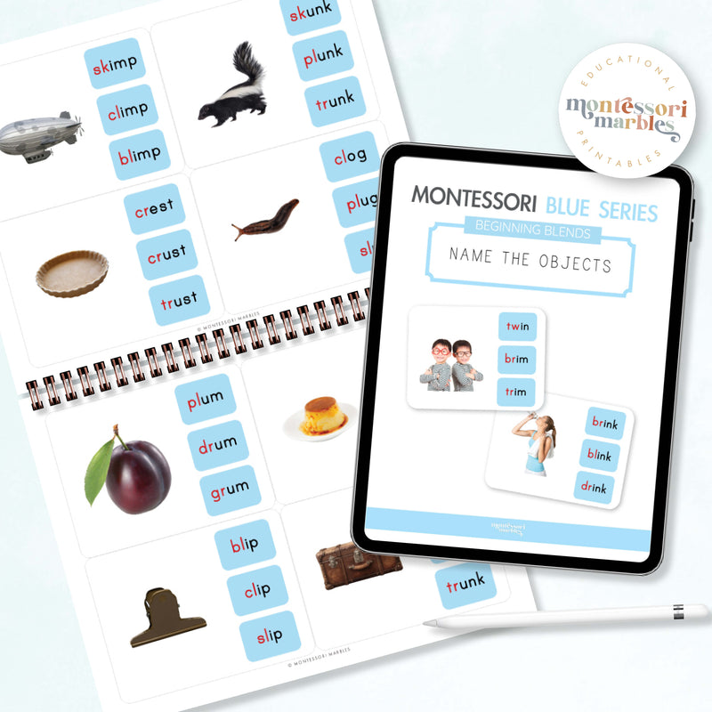 Montessori Blue Series Name the Objects (Beginning Blends)