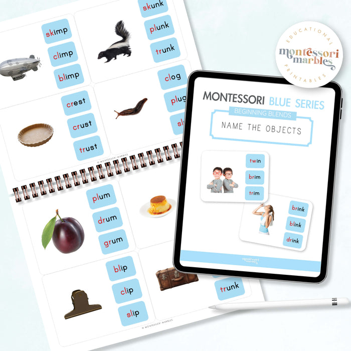 Montessori Blue Series Name the Objects (Beginning Blends)