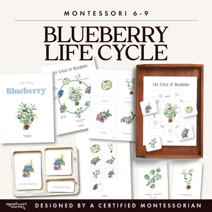 Blueberry Life Cycle