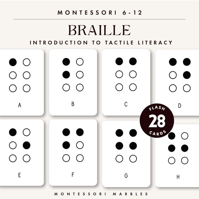 Braille Flash Cards