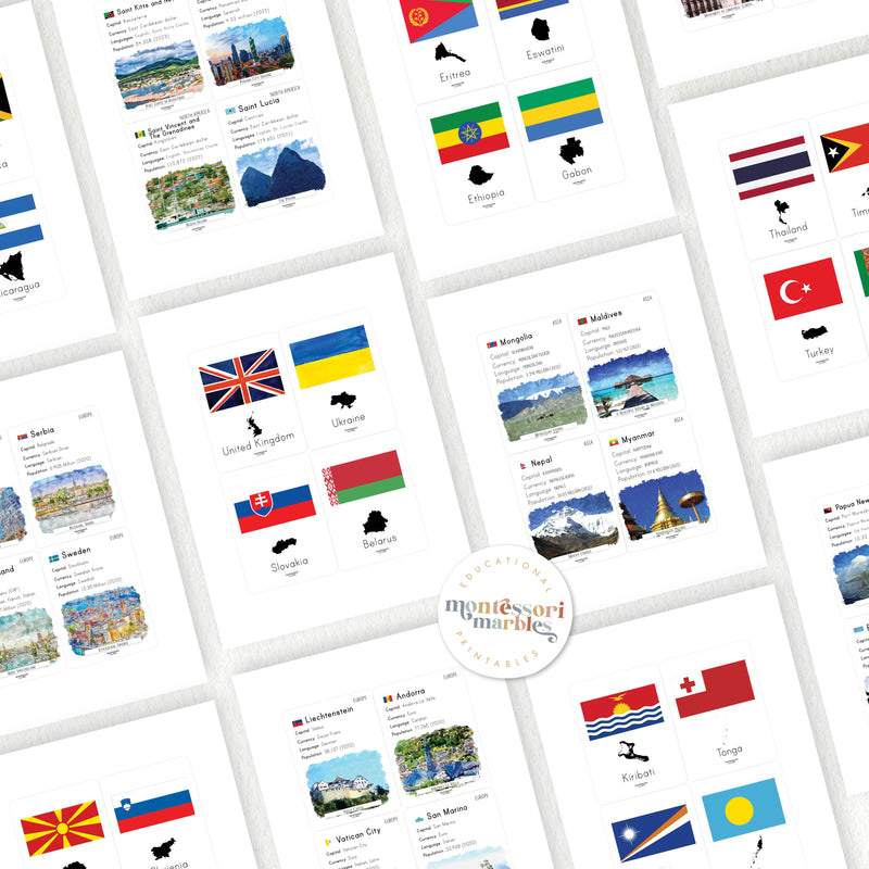 Continental Fact Cards Bundle