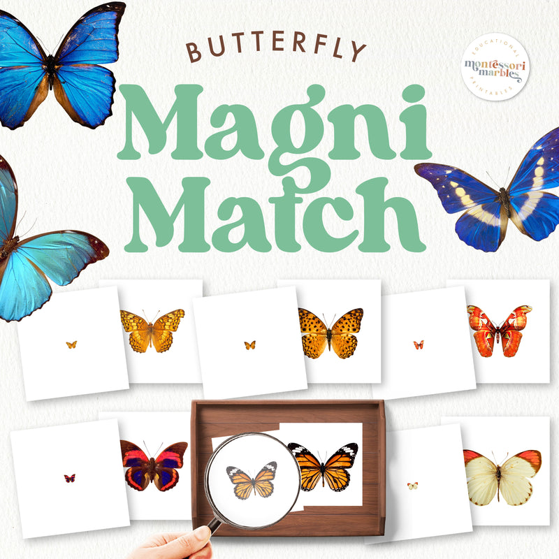 Butterfly magnifying glass matching activity for nature observation
