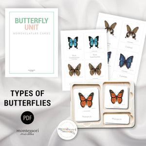 Butterfly Mini Bundle