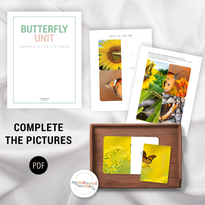 Butterfly Mini Bundle