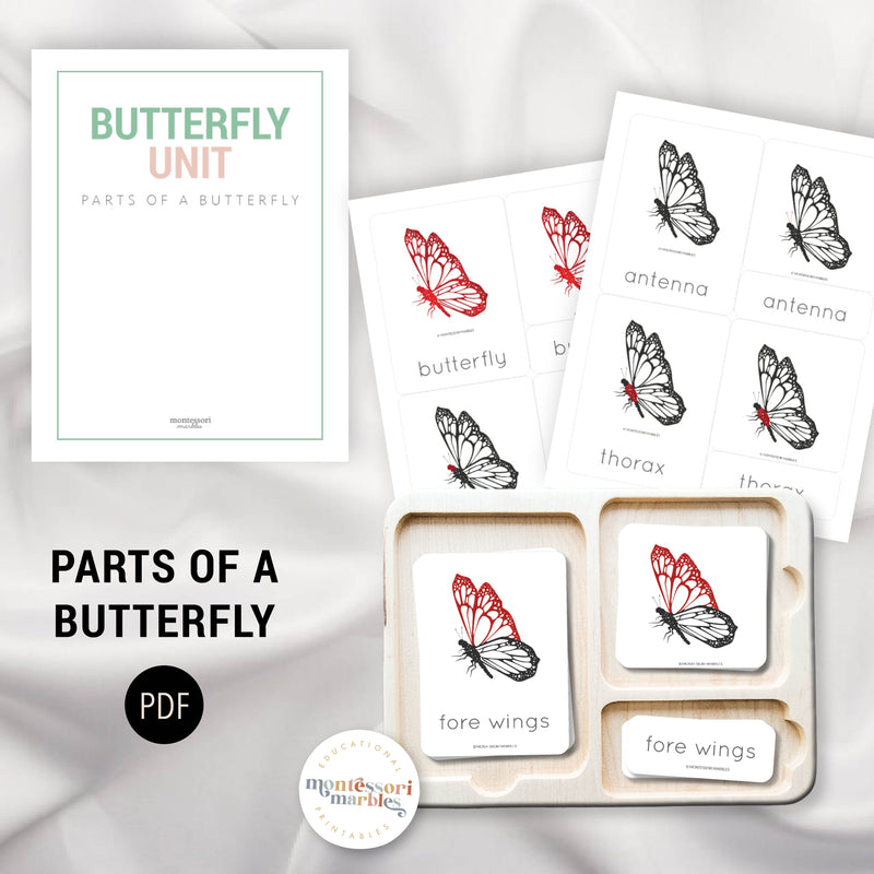 Butterfly Mini Bundle