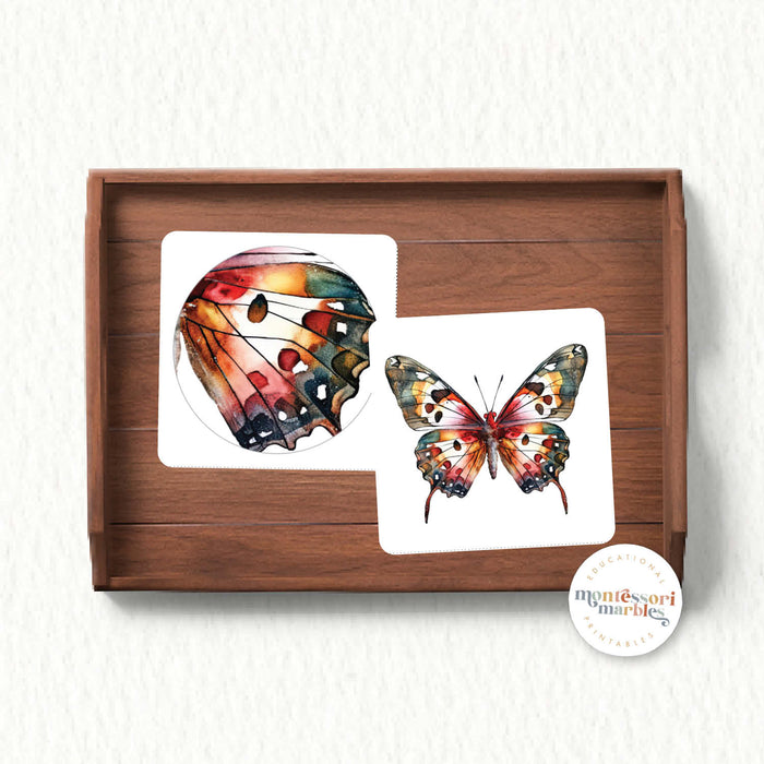 Butterfly Wings Pattern Matching