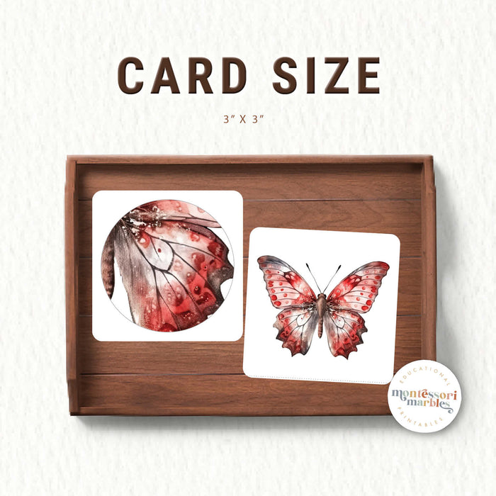 Butterfly Wings Pattern Matching