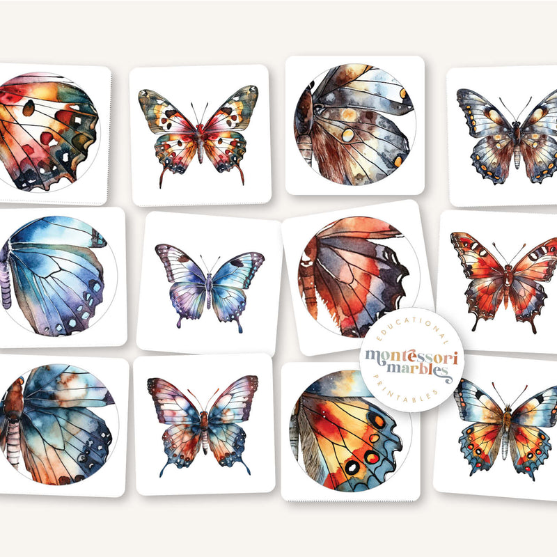 Butterfly Wings Pattern Matching