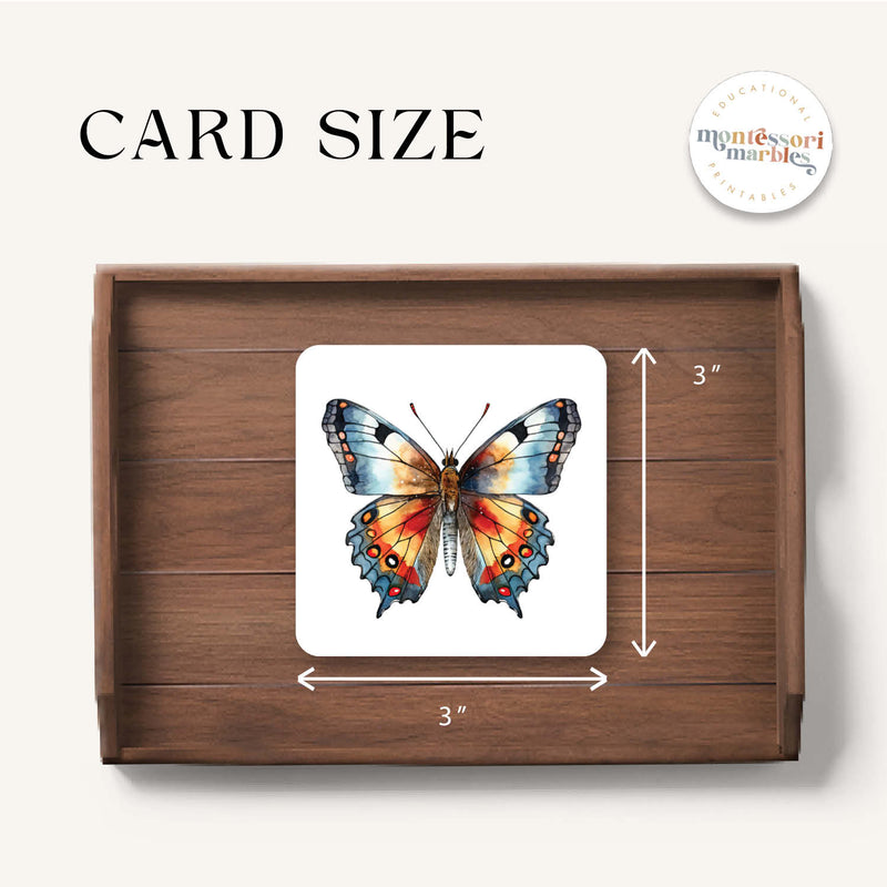Butterfly Wings Pattern Matching