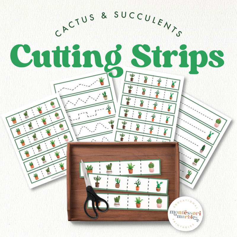 Cactus cutting strips for fine motor skills—desert plant nature study, ages 3-6