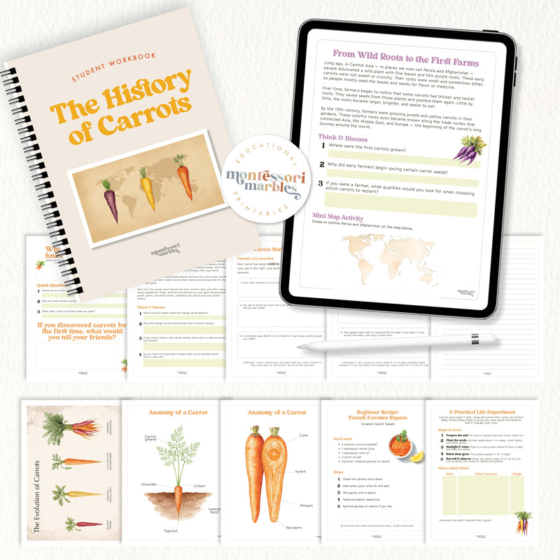 The History of Carrots