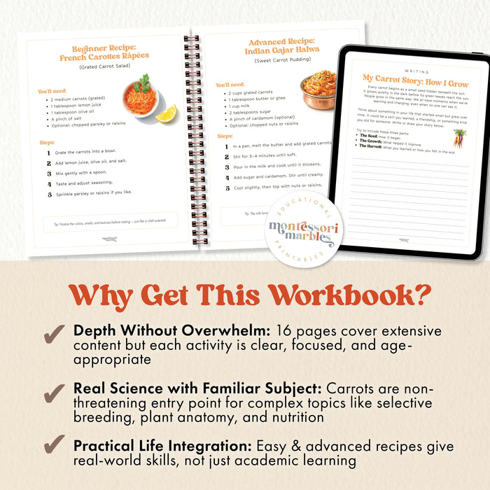 The History of Carrots | Plant Science Workbook Ages 8-9