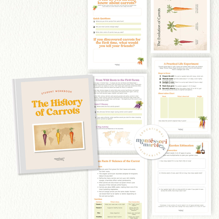 The History of Carrots | Plant Science Workbook Ages 8-9