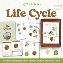 Load image into Gallery viewer, Coconut Life Cycle
