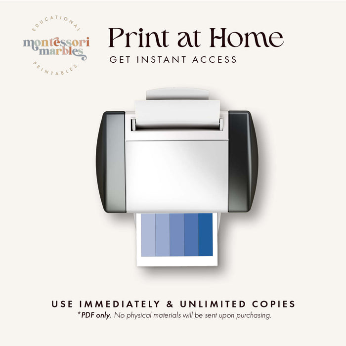 Color Gradient Strips