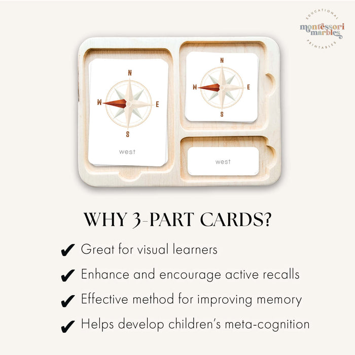 Compass Rose 3-Part Cards