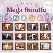 Load image into Gallery viewer, 80% OFF Complete The Pictures Mega Bundle
