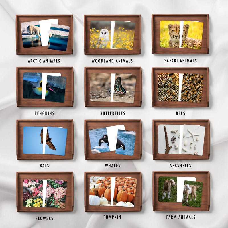 Complete The Pictures Mega Bundle