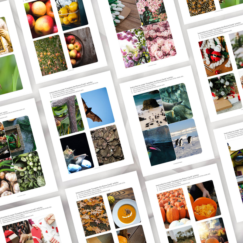 Complete The Pictures Mega Bundle