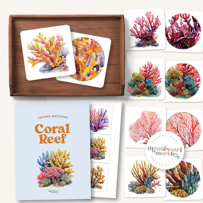 Coral Reef Pattern Matching