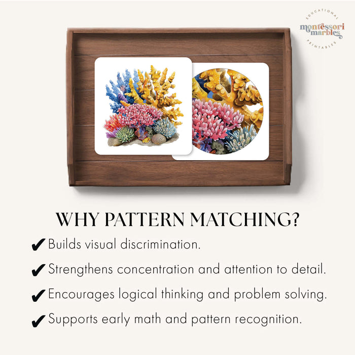 Coral Reef Pattern Matching