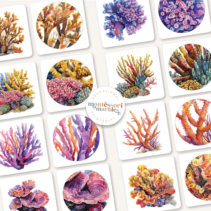 Coral Reef Pattern Matching