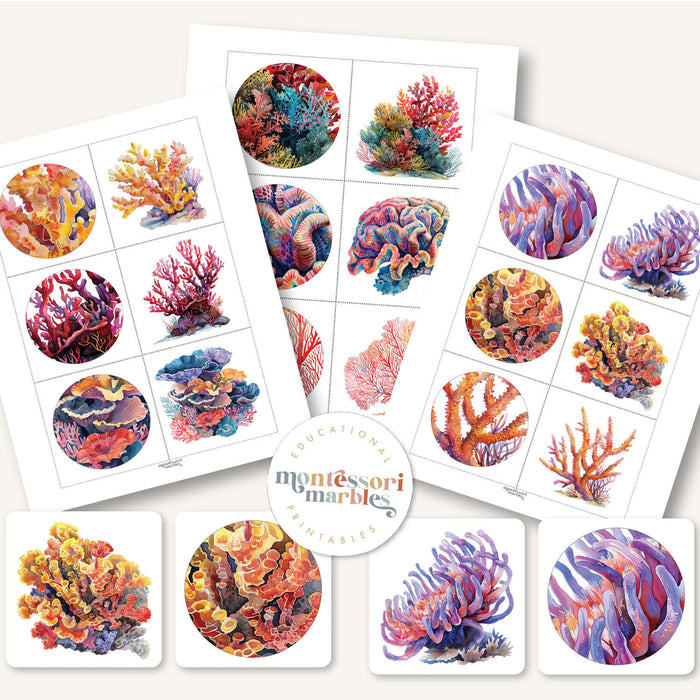 Coral Reef Pattern Matching