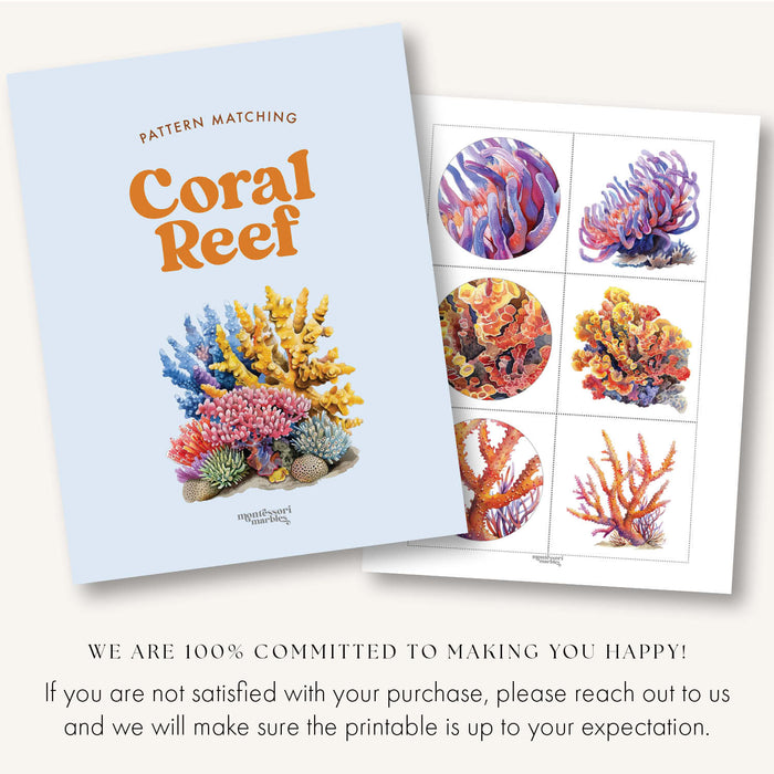 Coral Reef Pattern Matching