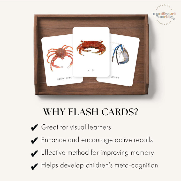 Crustacean Flash Cards