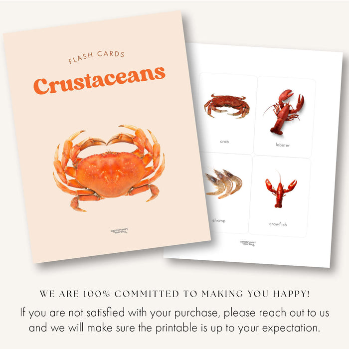 Crustacean Flash Cards