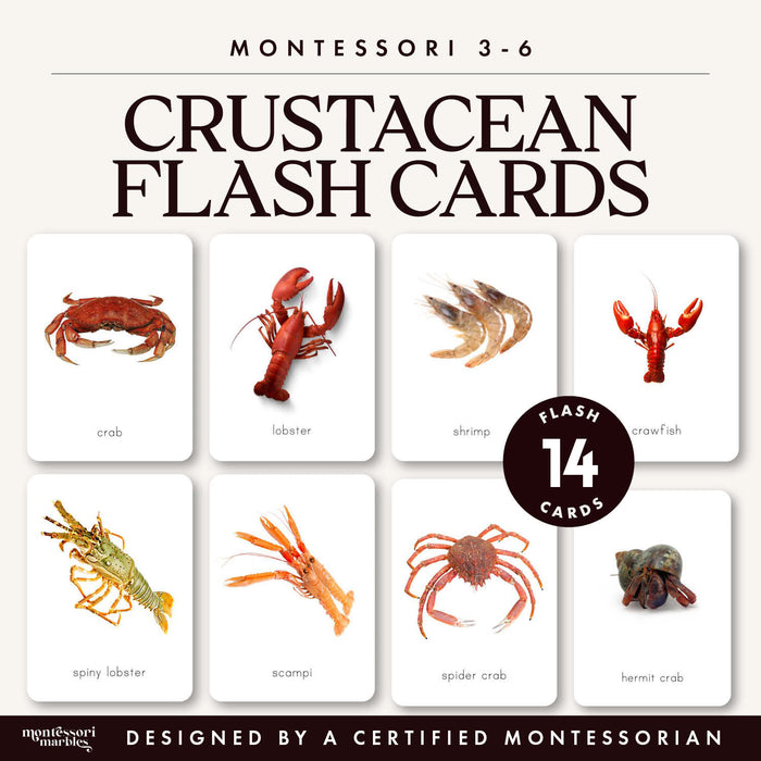 Crustacean Flash Cards